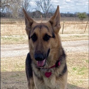 Meet your Posher, Idrene